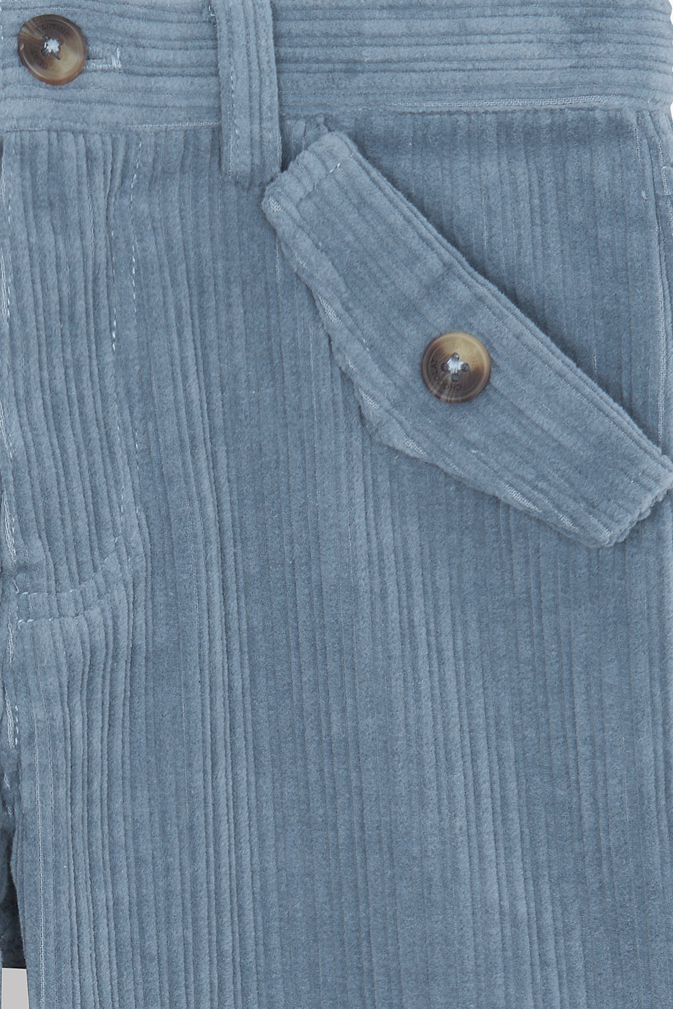 Trousers - Blue Greyé in Velvet