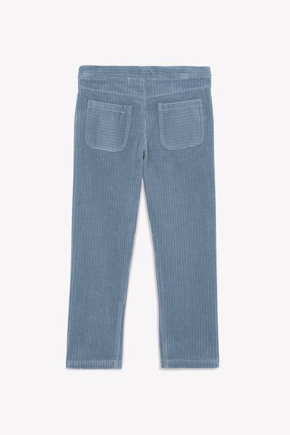 Trousers - Blue Greyé in Velvet